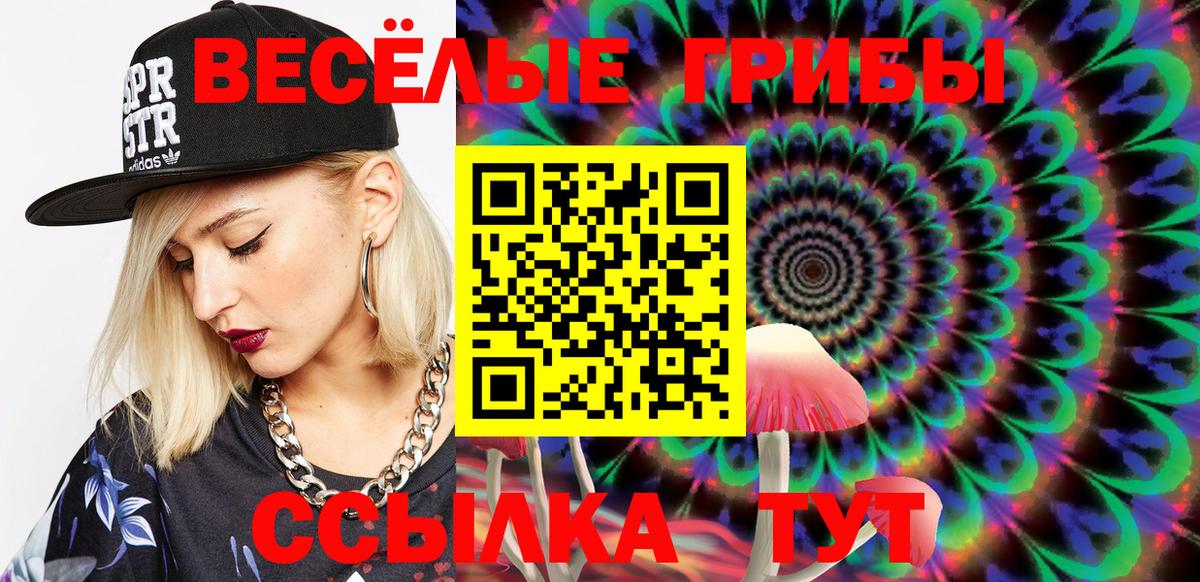 Галлюциногенные грибы GOLDEN TEACHER Партизанск