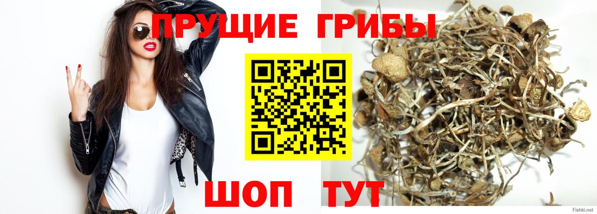 Партизанск  Псилоцибиновые грибы GOLDEN TEACHER  Вход с VPN 